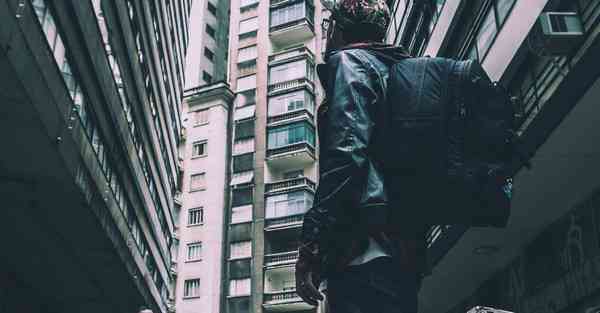 外国语单招大数据的行业文章