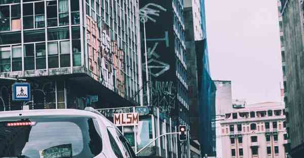 WEB大数据服务技术