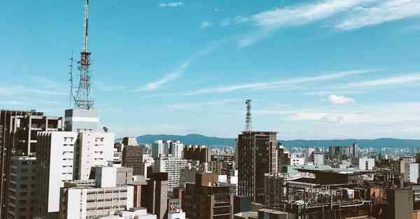 AI的复制快捷键