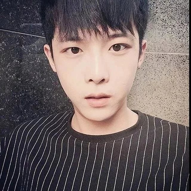 卢轮良红