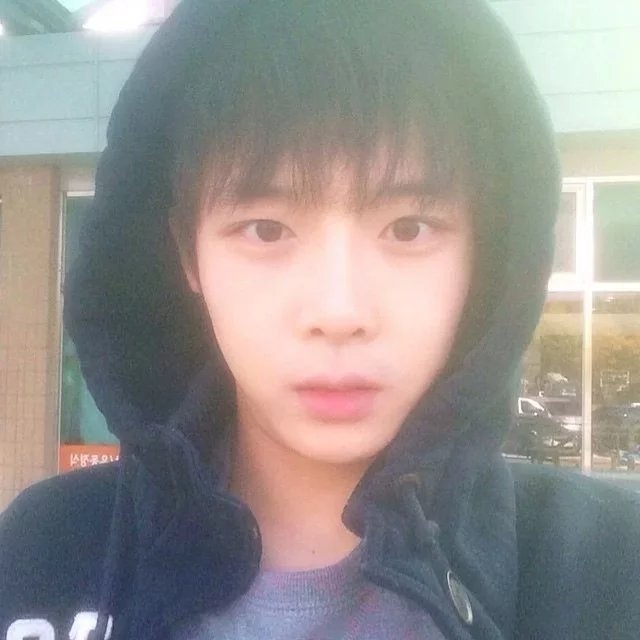 苗克菁莲
