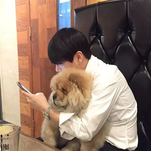金初艳霭
