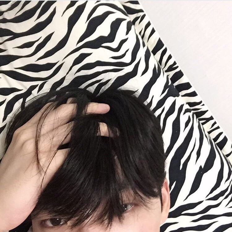 林刚晨仁
