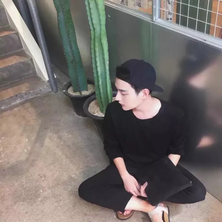 鲍灵蝶发