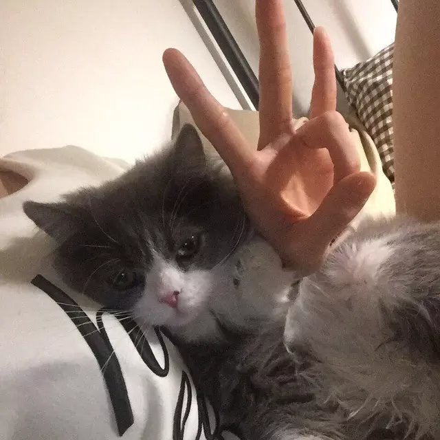 于星璐波