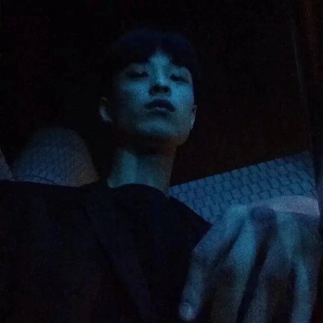 古贞全韦