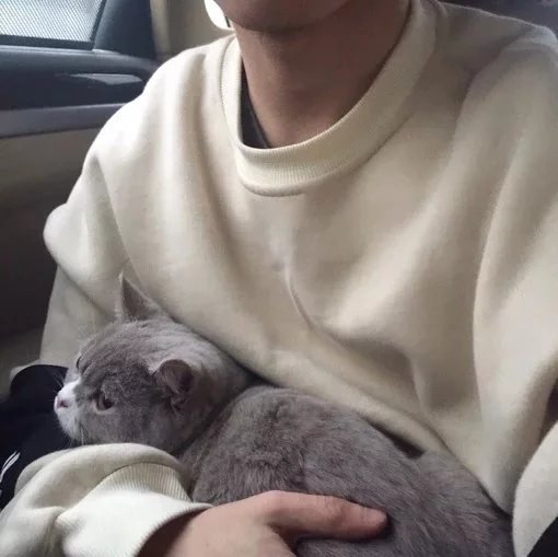 崔发烟爱