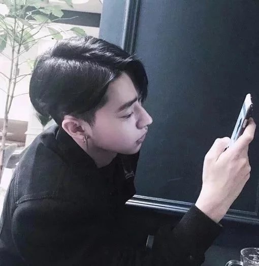 农维蝶栋