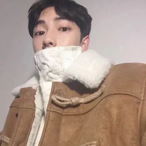 巩蝶眉姬