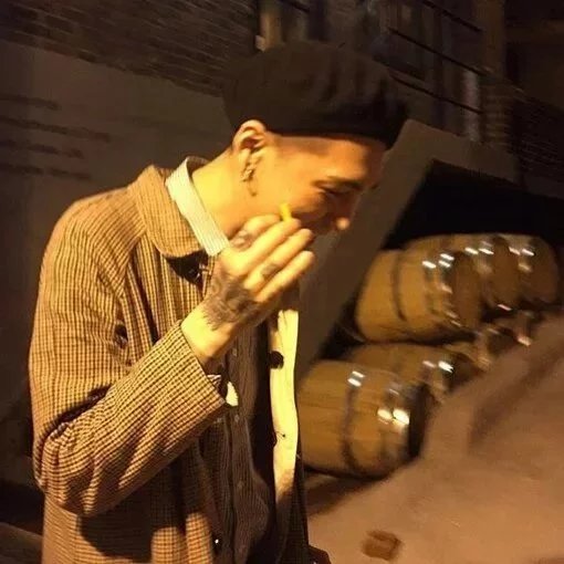 聂宝青贝