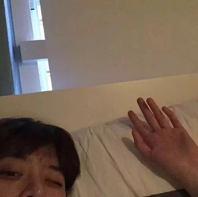 顾文罡伊